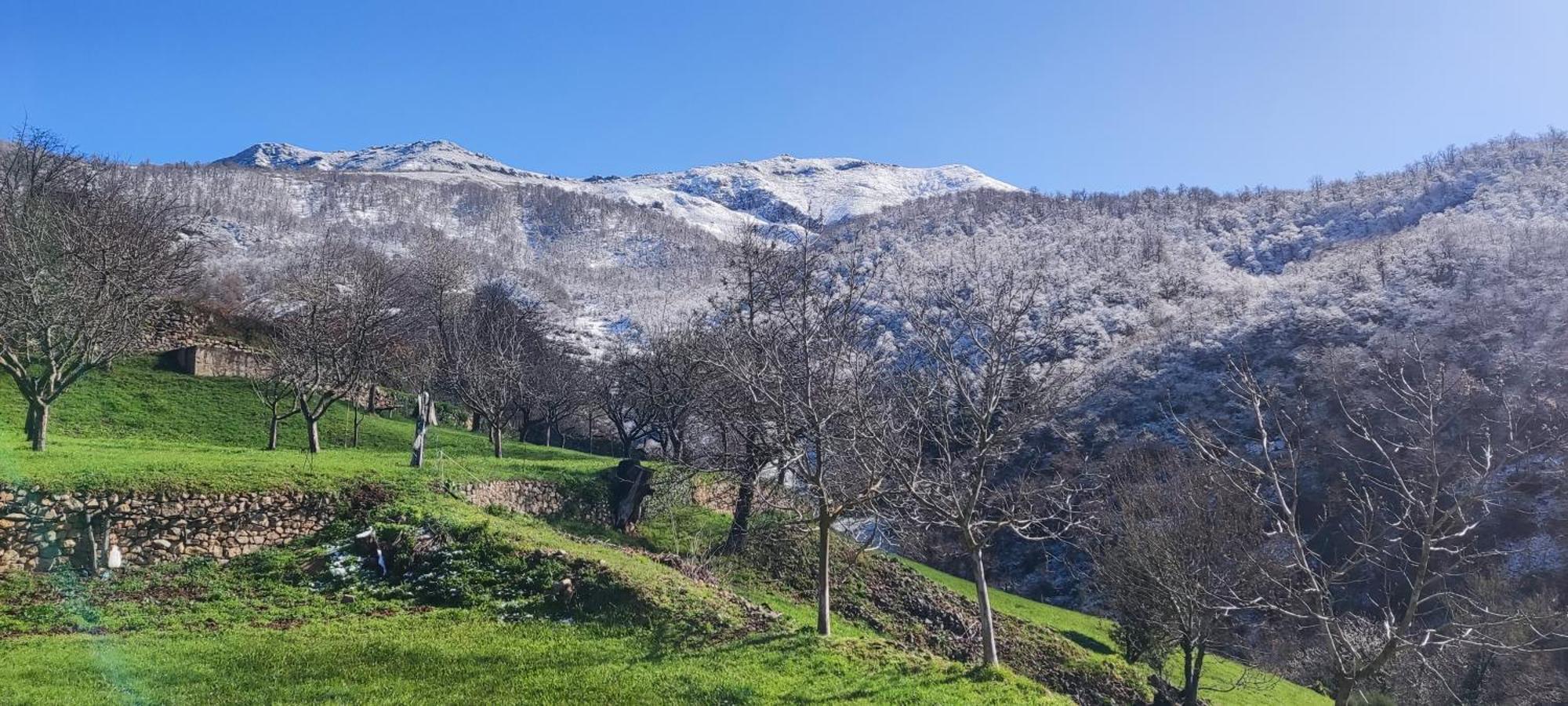 Nuestra Casa De Luriezo Villa Cabezón de Liébana Dış mekan fotoğraf
