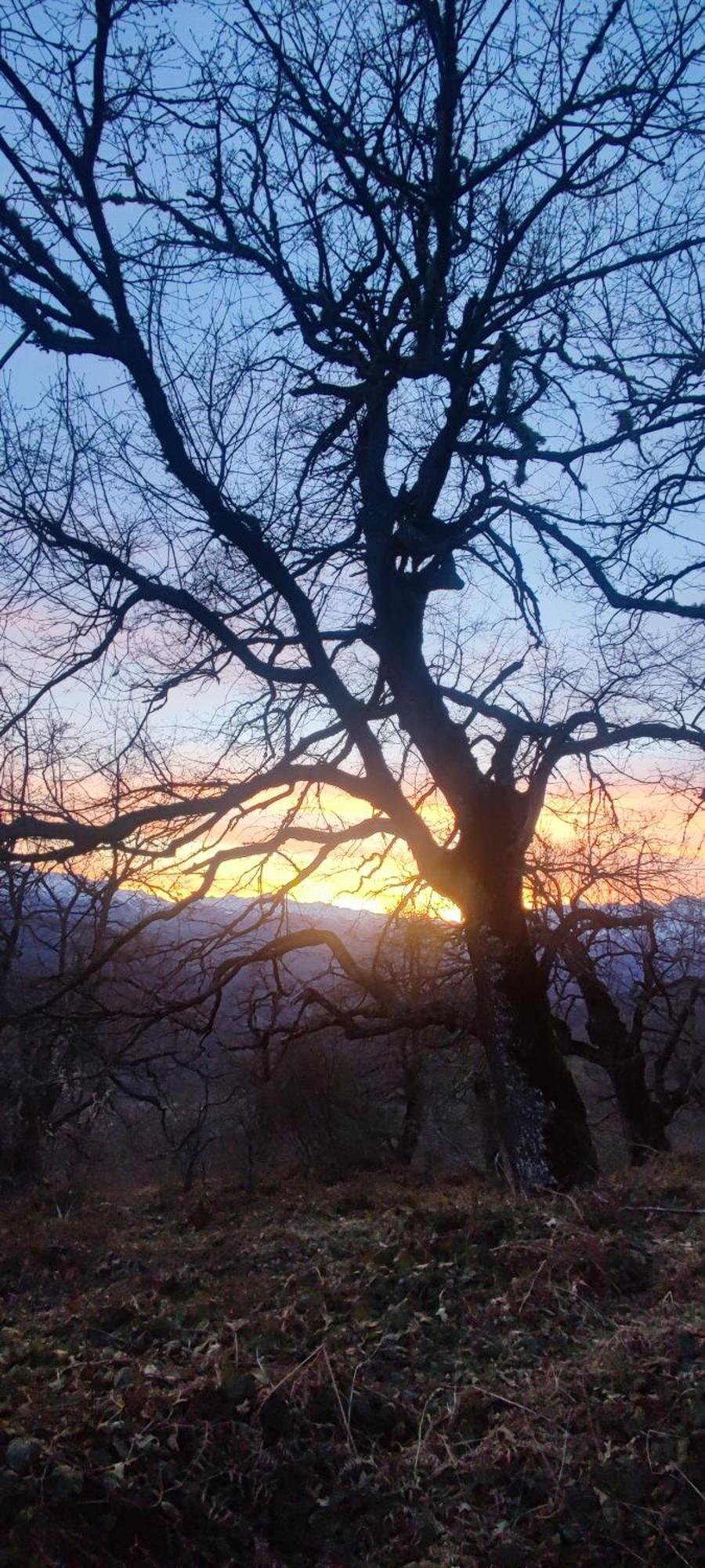 Nuestra Casa De Luriezo Villa Cabezón de Liébana Dış mekan fotoğraf